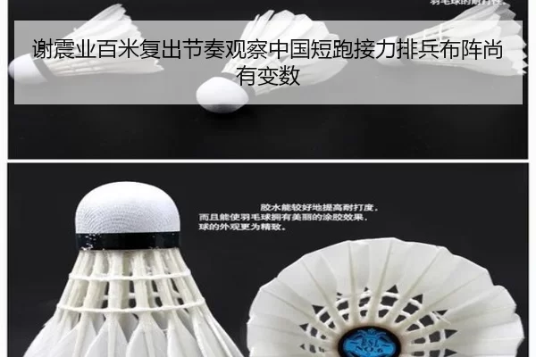 谢震业百米复出节奏观察中国短跑接力排兵布阵尚有变数
